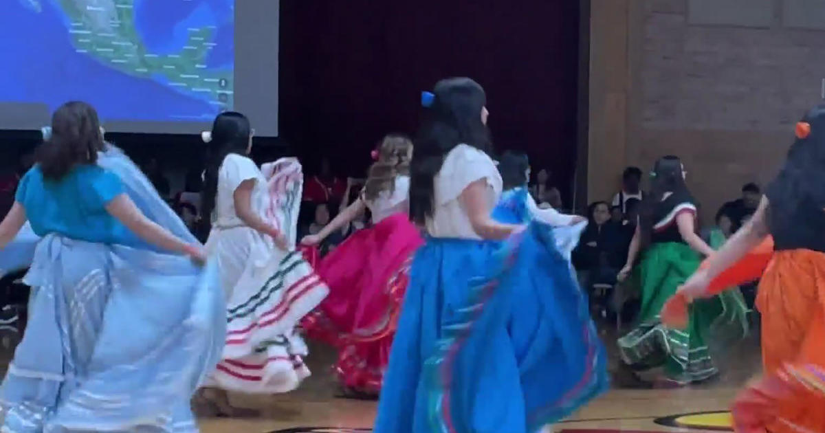 International Festival held in Tinley Park CBS Chicago