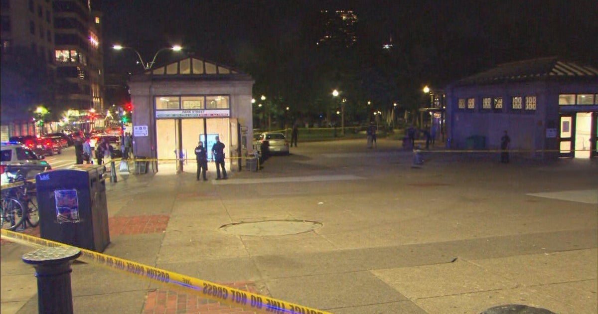 Woman arrested in fatal July stabbing near Park Street T Station