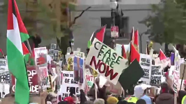 palestine-protests-dc.jpg