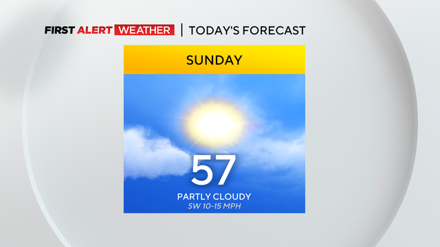 forecast.png 