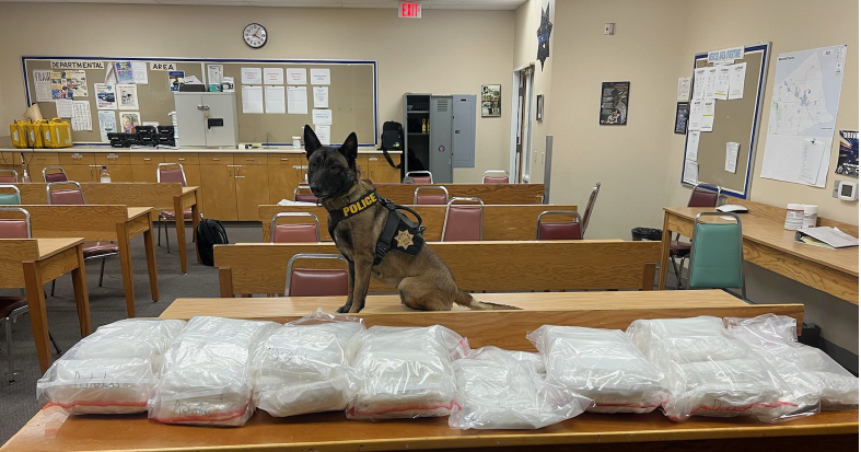 CHP K9 unit uncovers 117 pounds of meth in remote Merced County traffic ...