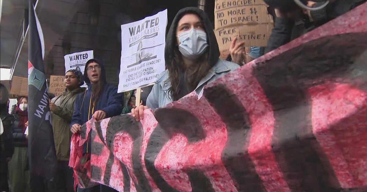 Pro-Palestinian protesters call for ceasefire in Gaza as VP Kamala