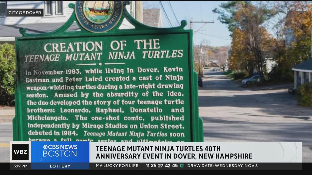 See Teenage Mutant Ninja Turtles Sewer Cover in New Hampshire