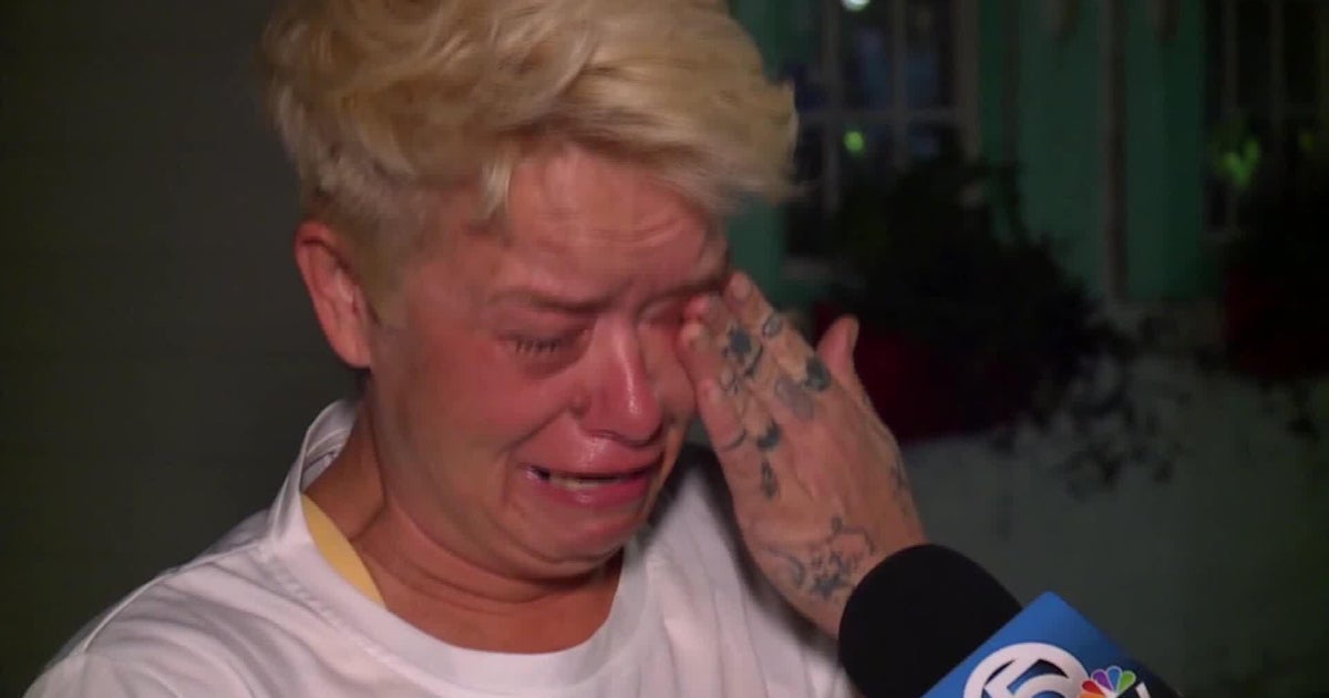 Florida woman devastated immediately after her 400-pound pig confiscated, officers concerned about pigs wellbeing Florida woman devastated immediately after her 400-pound pig confiscated, officers concerned about pigs wellbeing