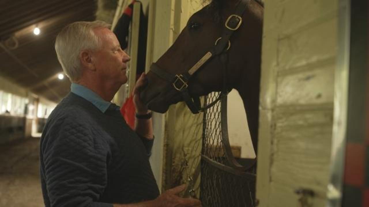 Horse racing watchdog works to improve safety, end doping | 60 Minutes -  CBS News