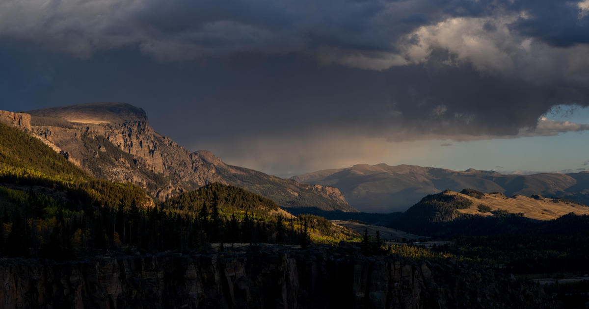 Мъничък Джак Ръсел териер който оцеля в планините на Колорадо