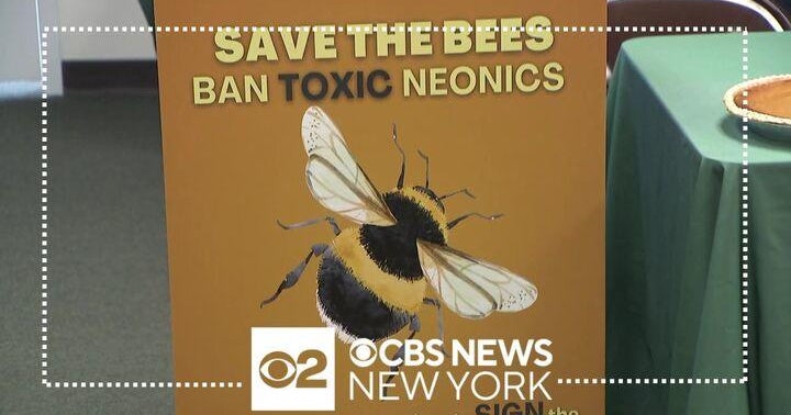 Environmental groups pressuring Gov. Hochul to sign Birds and Bees ...