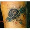 Woman with the flower tattoo identified 31 years after her murder