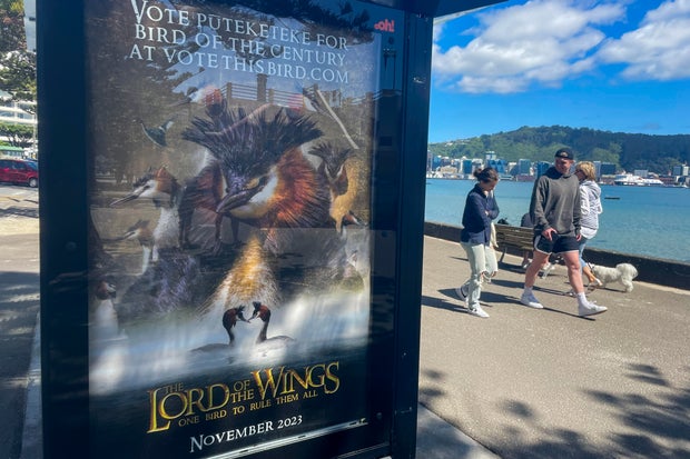 A billboard at a bus stop promotes comedian John Oliver's campaign for the pūteketeke to be named New Zealand's Bird of the Century on Nov. 11, 2023, in Wellington, New Zealand