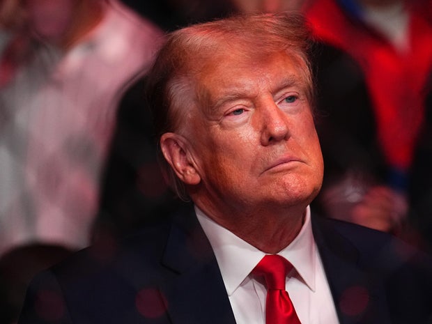 Donald Trump at a UFC event in New York City