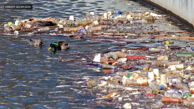 Plastic bottles and other waste in the Buffalo River. 