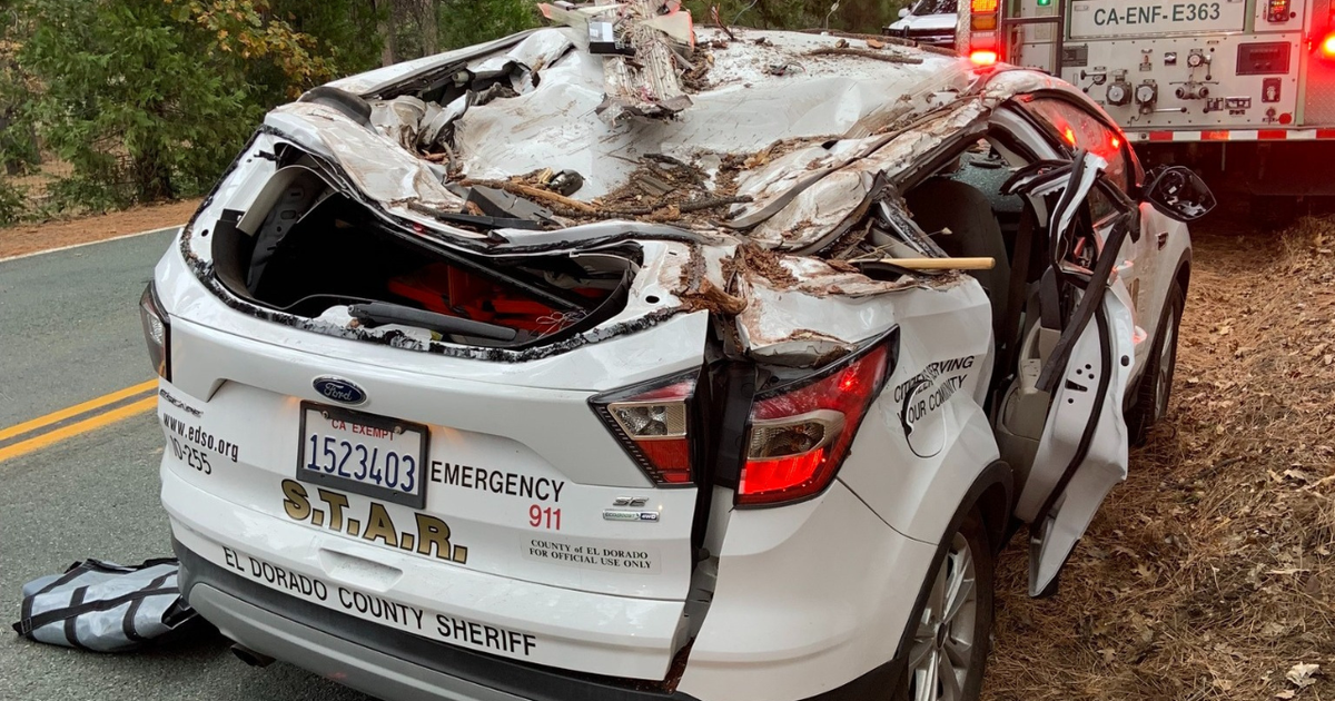 3 hospitalized with major injuries after tree falls on vehicle in El Dorado County