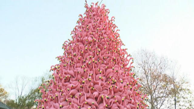 flamingo-tree.jpg 