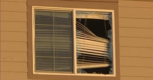 2 dogs rescued after apparent house explosion in Northern Colorado town ...