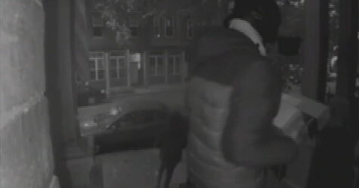 Video shows South Boston package thieves who escaped on mopeds