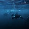 Can playing thrash metal ward off killer whale boat attacks?