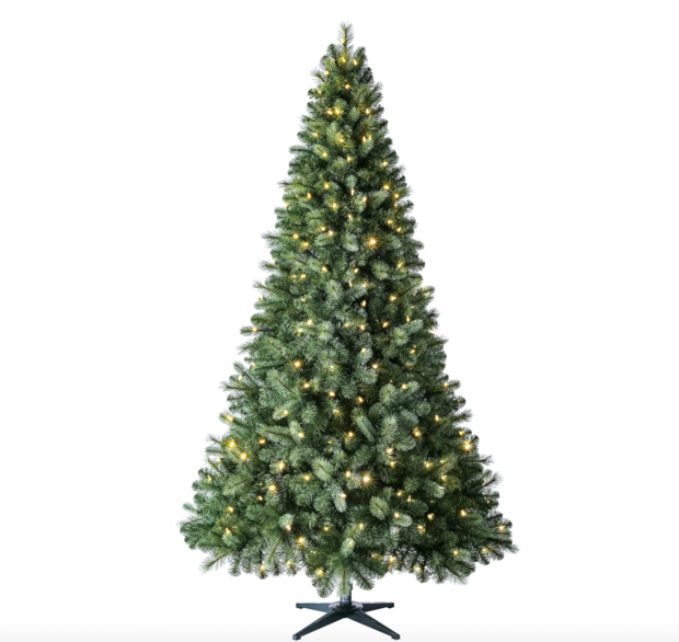 benton-pines-christmas-tree.png 