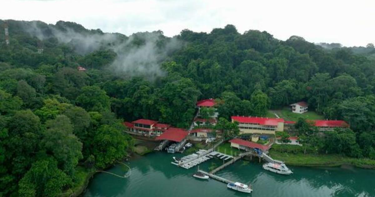 Inside the Smithsonian's tropical forest lab