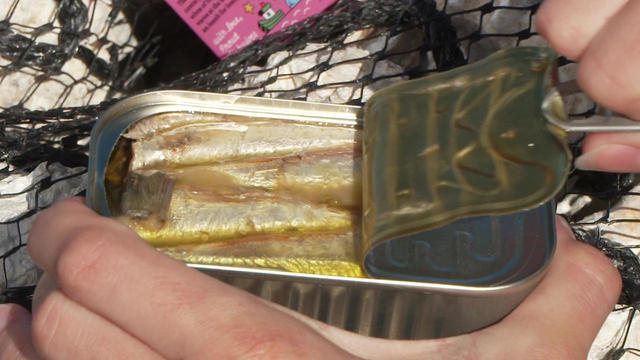 tinned-sardines-1280.jpg 