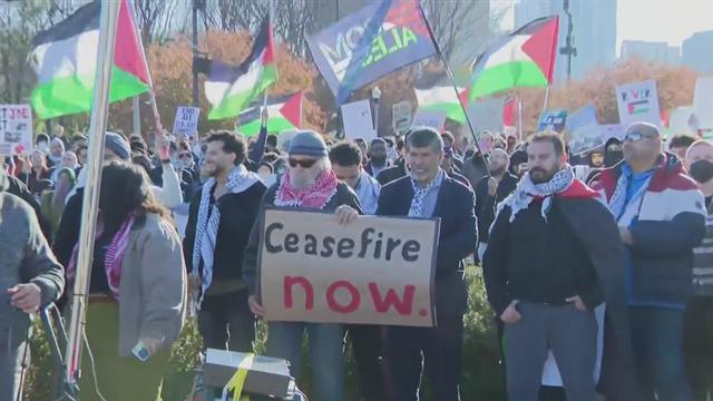 lsd-ceasefire-protest.jpg 