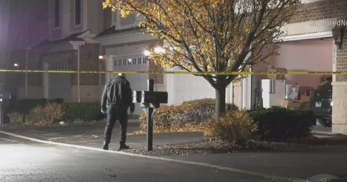 Police investigate after man found shot to death on porch in Palatine ...