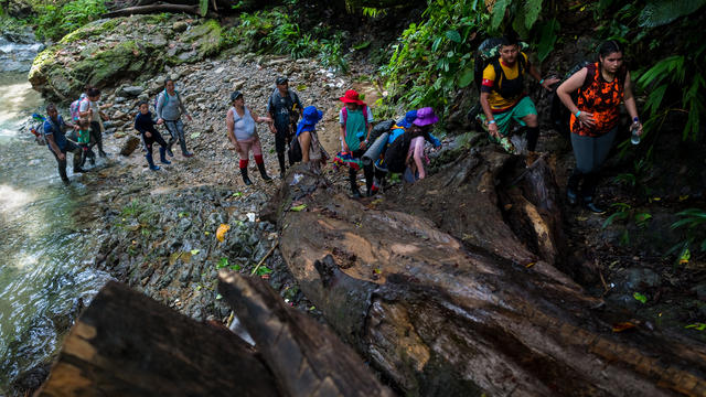 Ecuadorian migrants climb a rocky trail in the wild and dangerous jungle on November 20, 2022 in Darién Gap, Colombia. 