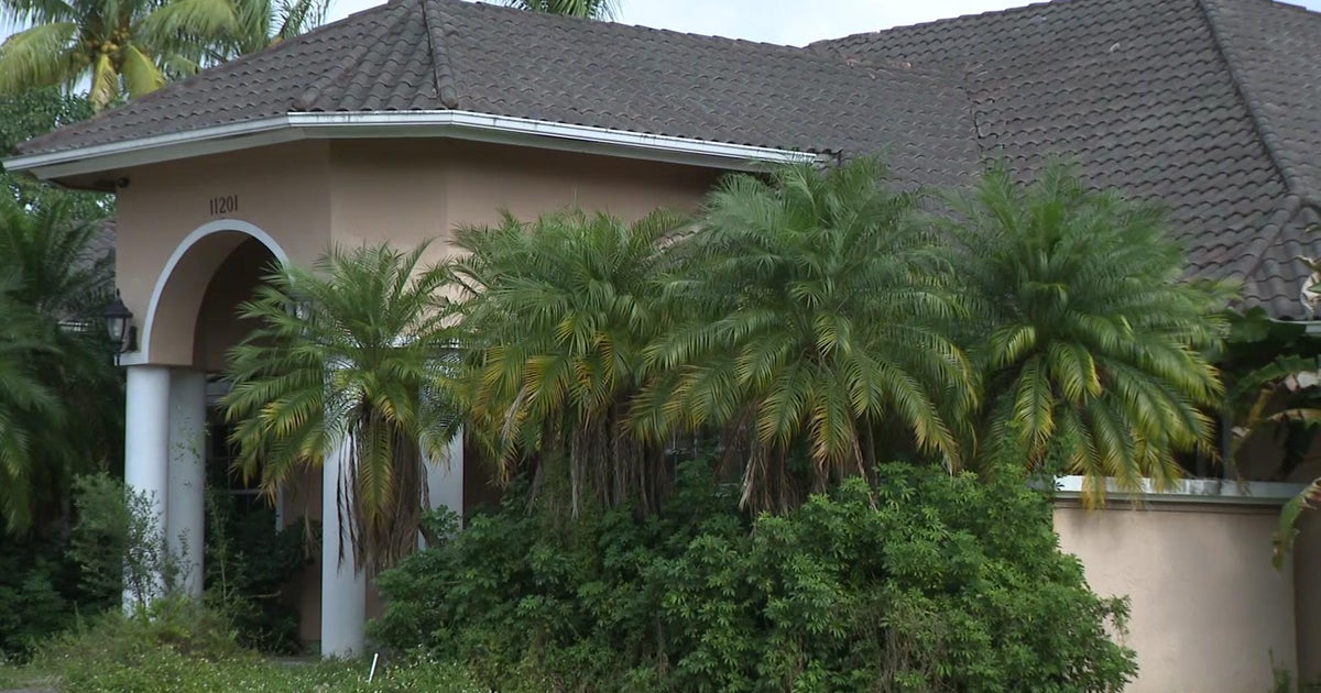 Official: For many years, squatters lived in Plantation household regarded for Xmas displays Official: For many years, squatters lived in Plantation household regarded for Xmas displays