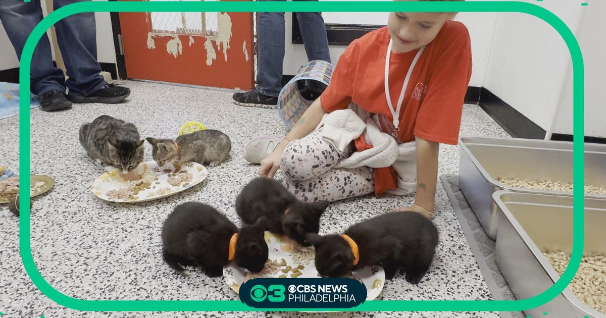 Thanksgiving fest for shelter animals at Brandywine Valley SPCA CBS