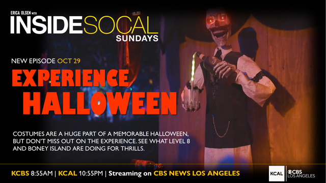 halloween-experience-web-image-16x9.png 