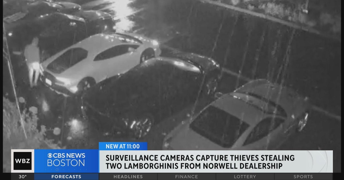 Video shows Lamborghinis stolen from Norwell dealership - CBS Boston