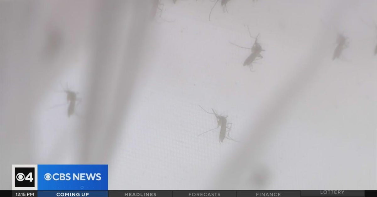 Aerial spraying for mosquitos around areas of Davie, Southwest Ranches