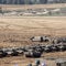 Israel says combat in Gaza has resumed, accuses Hamas of violating cease-fire