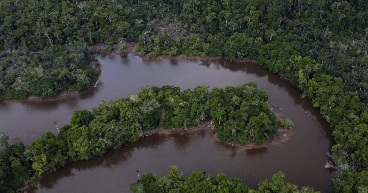 Защитник на перуанската тропическа гора е убит, връщайки се от екологична работилница