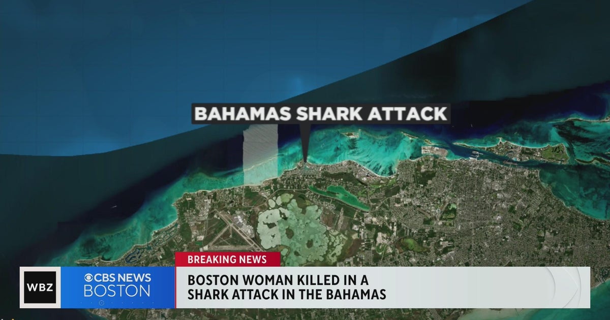 Boston woman killed in shark attack in the Bahamas CBS Boston