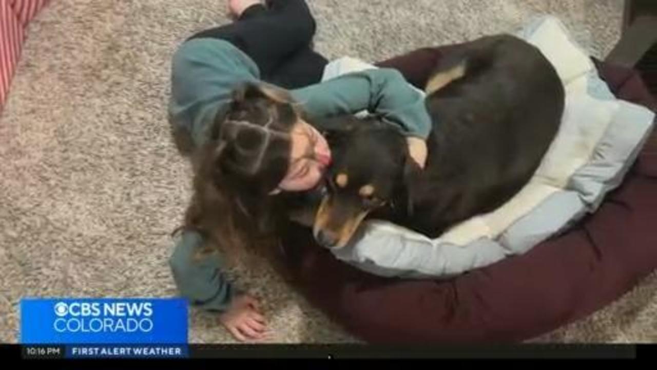 9-year-old girl organizes pet drive to honor her dog that died