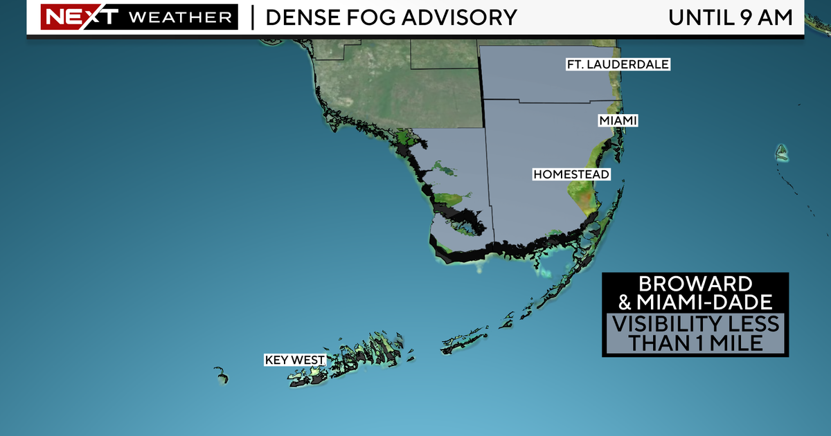 Miami weather: Dense fog to give way to warm, largely dry day Miami weather: Dense fog to give way to warm, largely dry day
