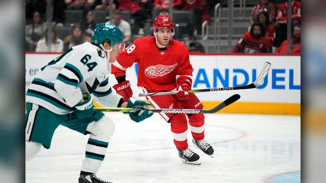 Sharks - Red Wings Hockey
