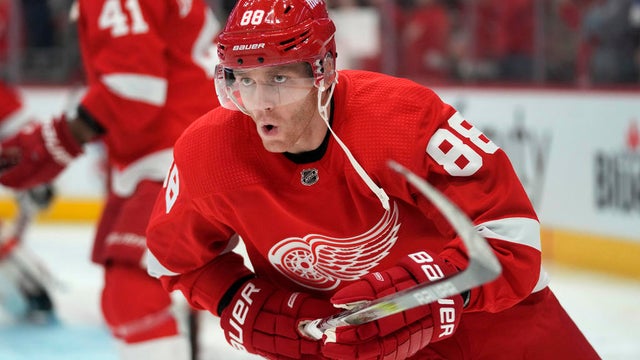 Sharks Red Wings Hockey