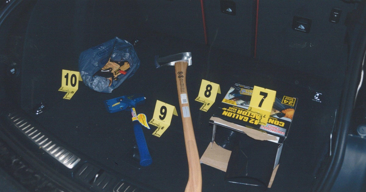 Key evidence in the disappearance and death of millionaire Andreen McDonald