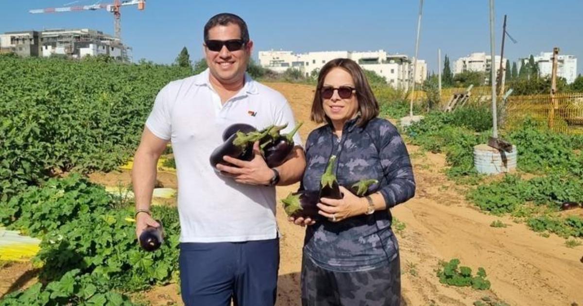 Доброволци се стичат в Израел, за да берат плодове и зеленчуци, докато чуждестранните селскостопански работници бягат по време на войната между Израел и Хамас
