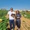 Volunteers flock to Israel to harvest produce amid farm labor shortage