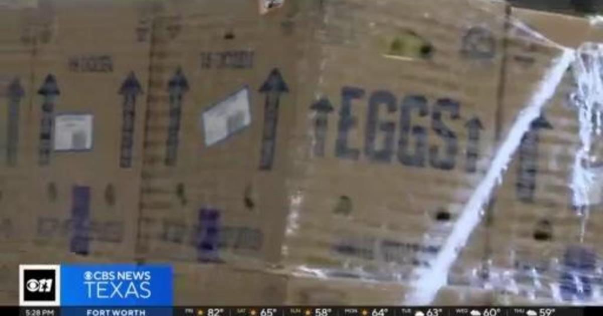 Tarrant Area Food Bank accepts eggstravagant Christmas gift CBS Texas