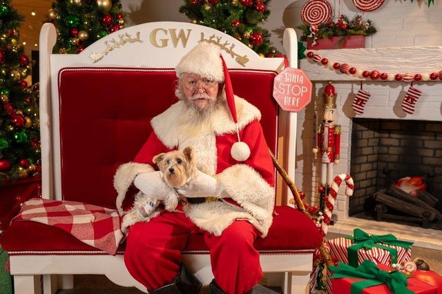 Gardner White and Michigan Humane Pet Holiday Photos