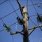 National blackout in Kenya draws call for probe into possible sabotage
