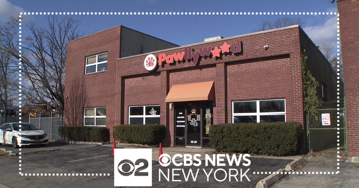 Long Island dog groomer arrested for animal cruelty - CBS New York