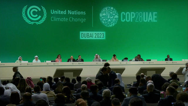 1213-cmo-cop28deal-btracy-2523944-640x360.jpg 