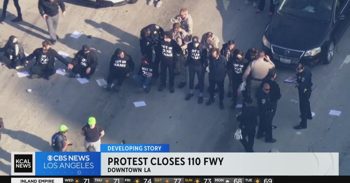 110 Freeway reopens after cease-fire in Gaza protesters detained - CBS ...