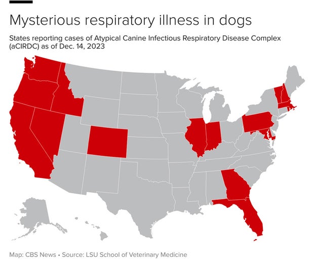 map - 16 states reporting mysterious respiratory illness in dogs