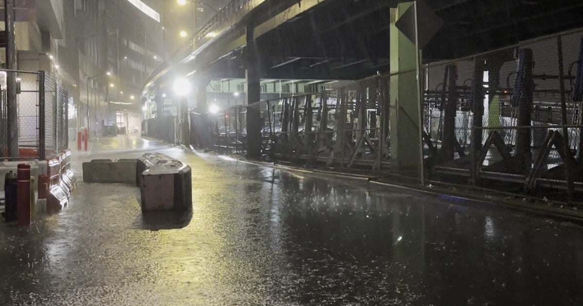 Wet, windy weather leads to localized flooding, toppled trees in parts of Queens - Vimarsana News