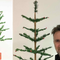 Humblest Christmas tree in the world sells for thousands at auction